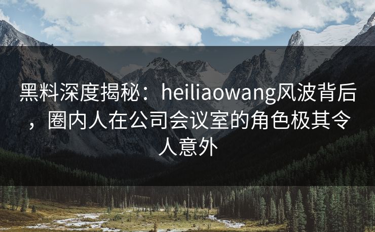 黑料深度揭秘：heiliaowang风波背后，圈内人在公司会议室的角色极其令人意外
