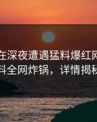 圈内人在深夜遭遇猛料爆红网络，黑料全网炸锅，详情揭秘