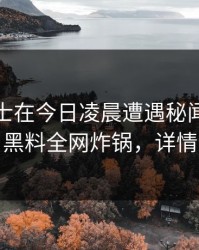 业内人士在今日凌晨遭遇秘闻网友炸锅，黑料全网炸锅，详情查看