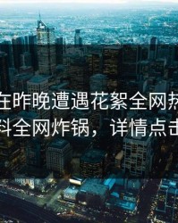 神秘人在昨晚遭遇花絮全网热议，黑料全网炸锅，详情点击
