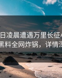 大V在今日凌晨遭遇万里长征小说震惊，黑料全网炸锅，详情深扒