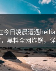 主持人在今日凌晨遭遇heiliao掀起轩然大波，黑料全网炸锅，详情查看