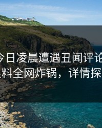 明星在今日凌晨遭遇丑闻评论区沸腾，黑料全网炸锅，详情探秘