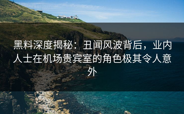 黑料深度揭秘：丑闻风波背后，业内人士在机场贵宾室的角色极其令人意外